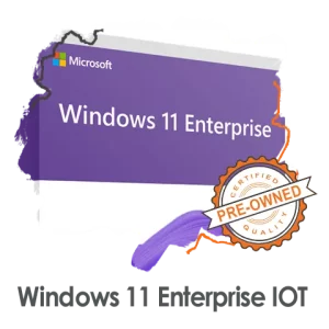 لایسنس ویندوز 11 اینتر پرایز